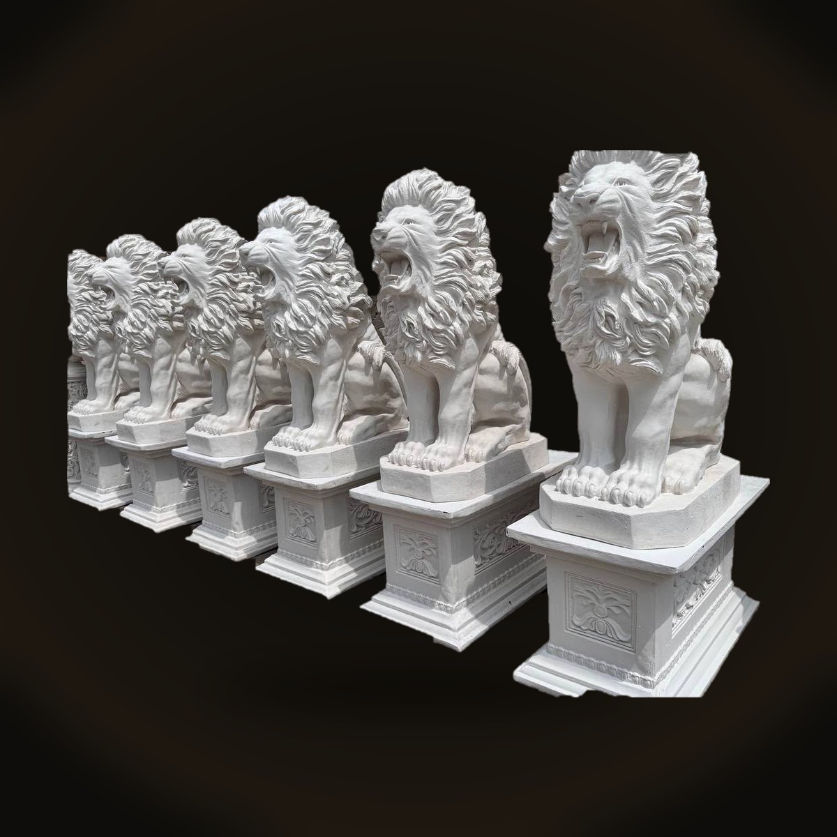 Lion Series